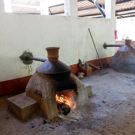 Mangaal Farmstay Goa Vichondrem Exteriör bild