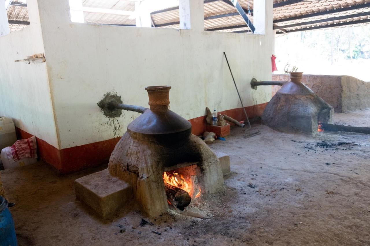 Mangaal Farmstay Goa Vichondrem Exteriör bild