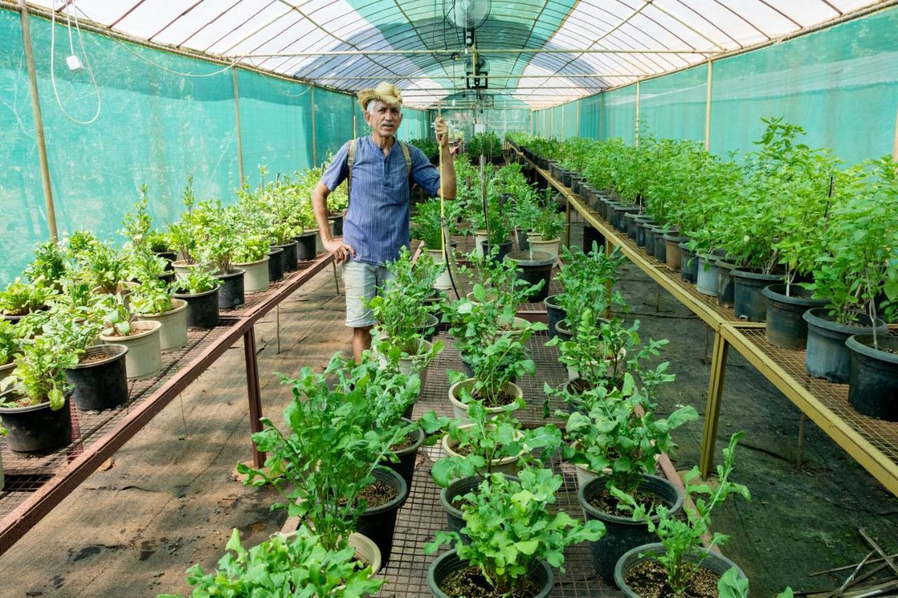Mangaal Farmstay Goa Vichondrem Exteriör bild
