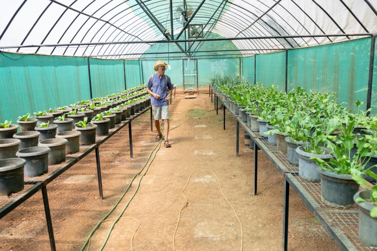 Mangaal Farmstay Goa Vichondrem Exteriör bild
