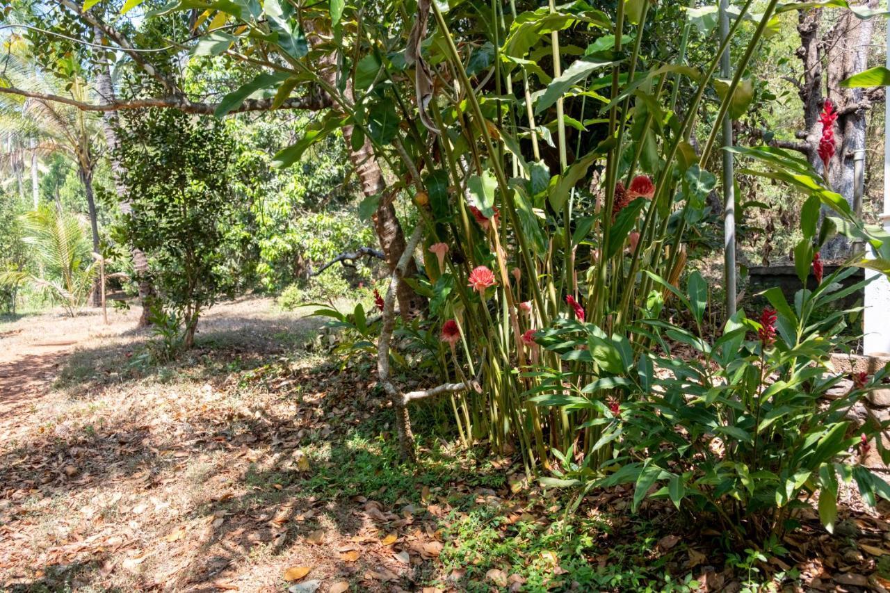 Mangaal Farmstay Goa Vichondrem Exteriör bild
