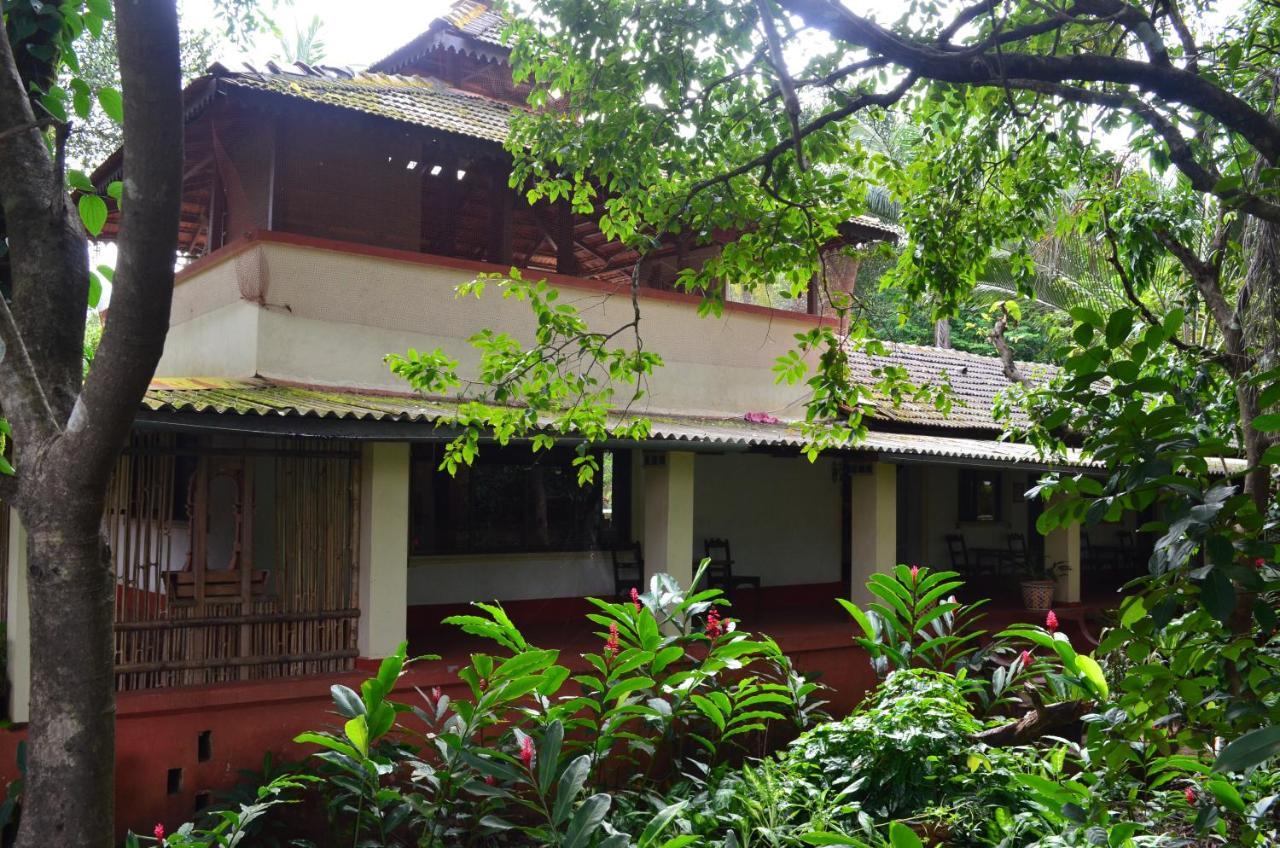 Mangaal Farmstay Goa Vichondrem Exteriör bild