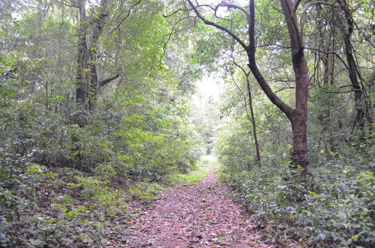 Mangaal Farmstay Goa Vichondrem Exteriör bild